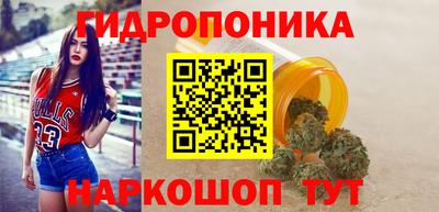 индика Ливны
