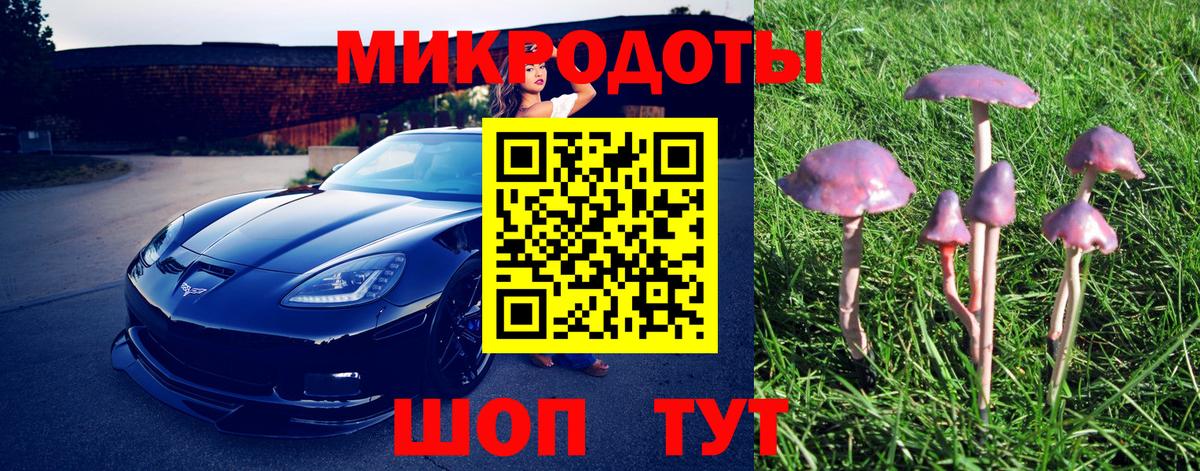 Псилоцибиновые грибы Psilocybine cubensis Черногорск