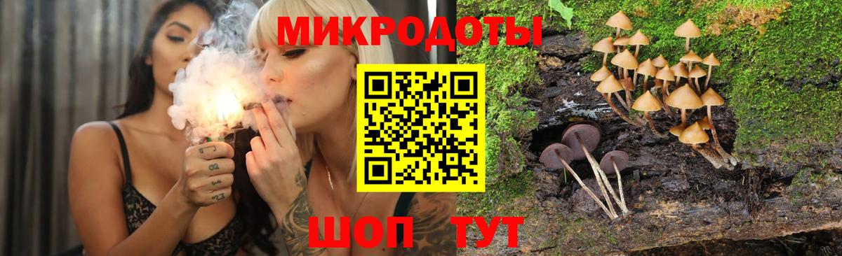 Галлюциногенные грибы мицелий  купить закладку  Черногорск  Вход с VPN 